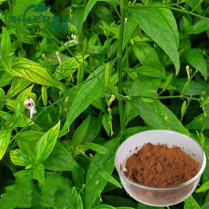 Natural feed additives andrographis paniculata extract price