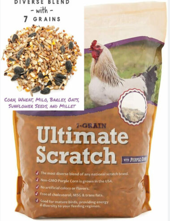 Alternative Treats for Chickens Alternative Treats for Chickens