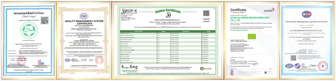 Chlorella bulk powder Chlorella bulk powder