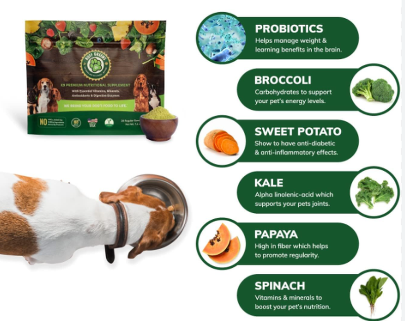 Broccoli Powder Price Broccoli Powder Price