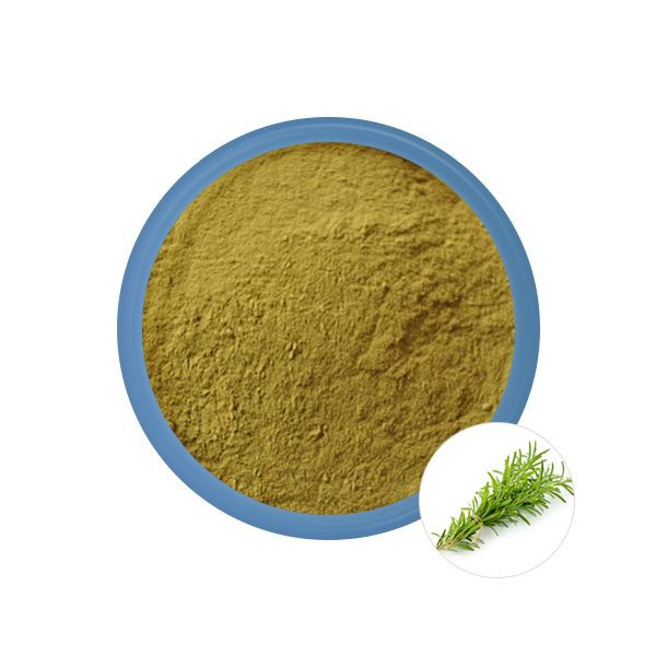Natural Rosemary Extract
