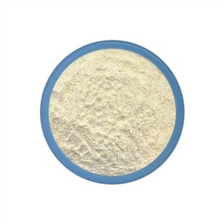 Bacilo Mucilaginosus