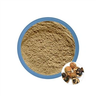 Extrato de semente de camélia