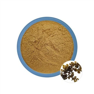 Polissacarídeo de algas marinhas