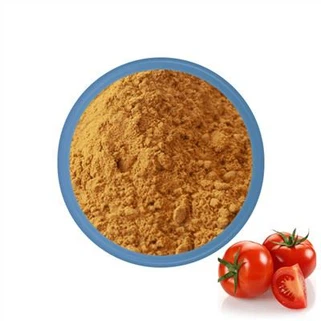 Tomate em Pó