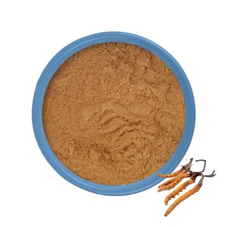 Cogumelo Cordyceps em pó a granel