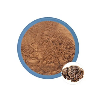 Pó de extrato de cogumelo de cauda de peru